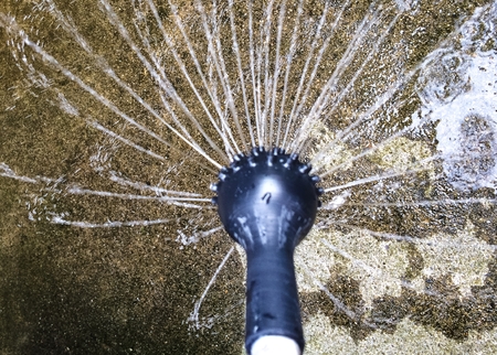 shower head of watering pod