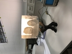  Hotlamp with lithophane  3d model for 3d printers