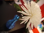  Flower vase  3d model for 3d printers