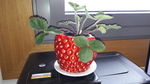 Modelo 3d de Fresa pot-titular para impresoras 3d
