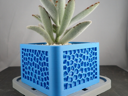 Voronoi Planter