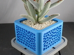  Voronoi planter  3d model for 3d printers