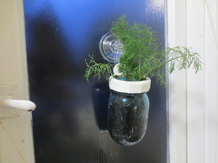 Hanging Mason Jar Window Planter