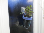  Hanging mason jar window planter  3d model for 3d printers