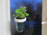  Hanging mason jar window planter  3d model for 3d printers