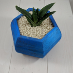  Hexagon planter  3d model for 3d printers