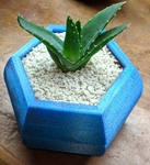  Hexagon planter  3d model for 3d printers