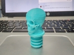 Bicycle handlebar endcap skull  3d model for 3d printers
