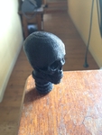  Bicycle handlebar endcap skull  3d model for 3d printers