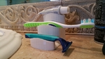 Modelo 3d de Cepillo de dientes titular para impresoras 3d