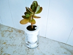  Yet another self watering vase planter  3d model for 3d printers