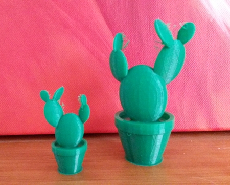  Cactus 2  3d model for 3d printers