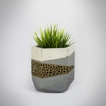  Concrete planters mold  3d model for 3d printers