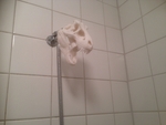  T-rex shower head  3d model for 3d printers