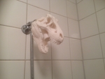  T-rex shower head  3d model for 3d printers