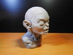 Modelo 3d de Golum busto, de el señor de los anillos para impresoras 3d