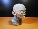  Golum bust, from lord of the rings  3d model for 3d printers