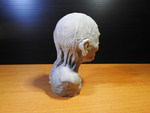 Modelo 3d de Golum busto, de el señor de los anillos para impresoras 3d