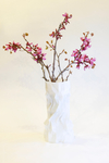 Modelo 3d de La primavera de las alfombras persas florero para impresoras 3d