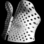  Muse, 3d printed corset from a 3d scan (by samuel n. bernier)  3d model for 3d printers