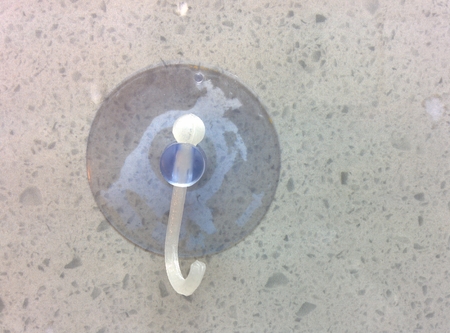 Suction cup hook