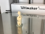  Perseverance, petite  3d model for 3d printers