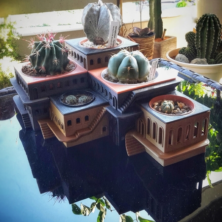 CactusHotel