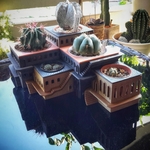  Cactushotel  3d model for 3d printers