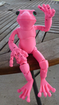  Froggy: the 3d printed ball-jointed frog doll  3d model for 3d printers