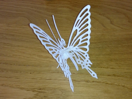 Butterfly 3D Printable