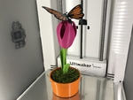  Butterfly, animated.  3d model for 3d printers