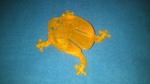  Jumping frog  3d model for 3d printers