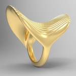  Paraboloid ring  3d model for 3d printers