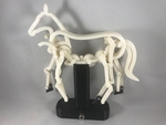 Modelo 3d de El caballo, el prototipo para impresoras 3d