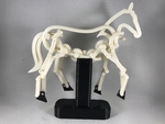 Modelo 3d de El caballo, el prototipo para impresoras 3d