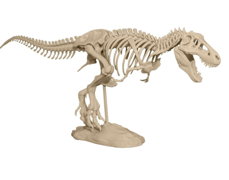 T-Rex Skeleton