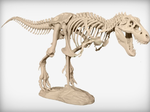 Modelo 3d de T-rex esqueleto para impresoras 3d