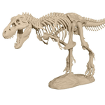 Modelo 3d de T-rex esqueleto para impresoras 3d