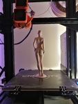  Alice - standing woman pose  3d model for 3d printers