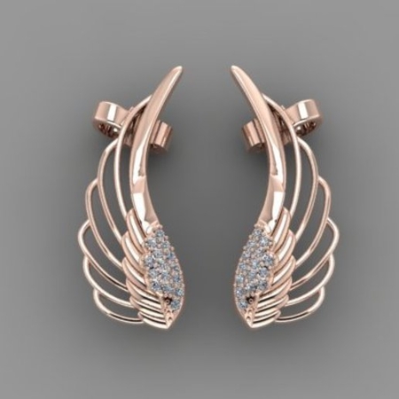 Wing Earrings B13