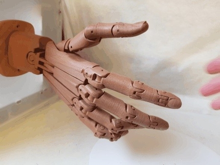  Articulated hand  3d model for 3d printers