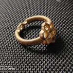  Bee-ring  3d model for 3d printers