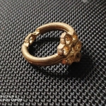 Modelo 3d de Bee-ring para impresoras 3d