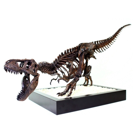 Modelo 3d de T-rex esqueleto - leo burton monte para impresoras 3d