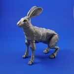  The fabled hare (a 3d printed ball-jointed doll)  3d model for 3d printers