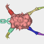 Modelo 3d de La mitad de la vida alyx blindados headcrab articulado llavero para impresoras 3d