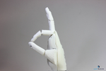  Ada robotic hand  3d model for 3d printers