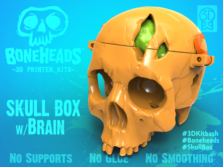 Skull Box w/ Brain by 3DKitbash