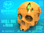  Skull box w/ brain by 3dkitbash  3d model for 3d printers