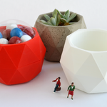  Bucky bowls  3d model for 3d printers